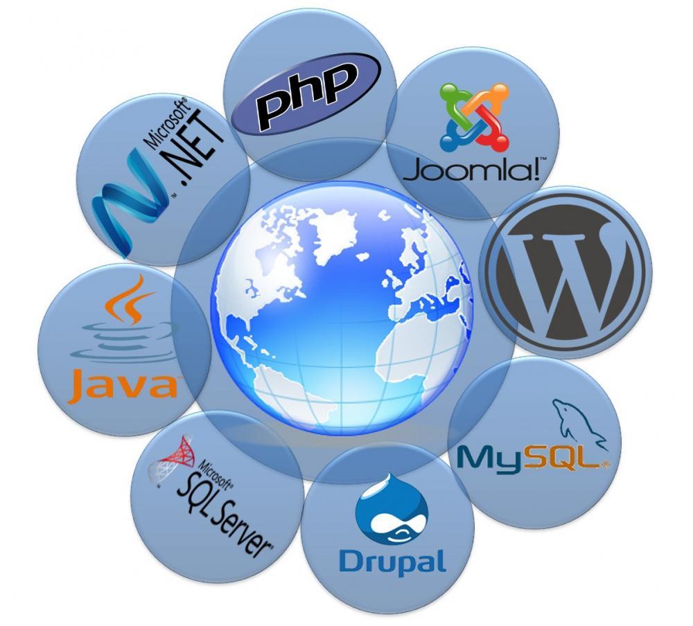 وب web