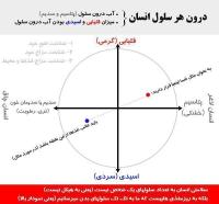 مزاج شناسی - قلیایی و اسیدی (گرمی و سردی) - آب درون سلولی: پتاسیم و سدیم (خشکی و تری)